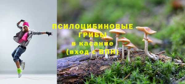 таблы Зерноград