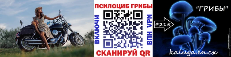 Псилоцибиновые грибы Psilocybine cubensis  Калач 